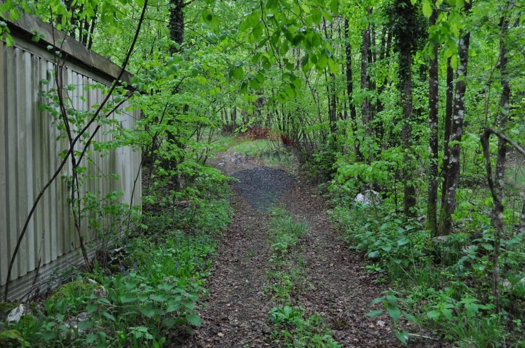 Image 5410535 - 3