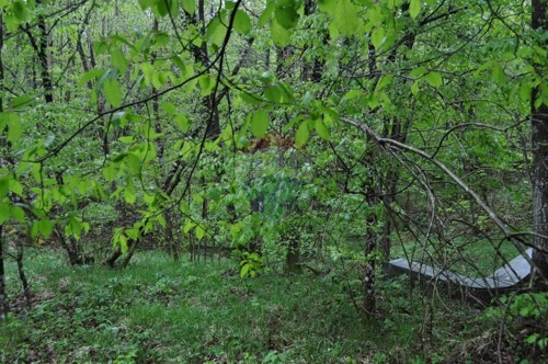 Thumbnail 5410535 - 8