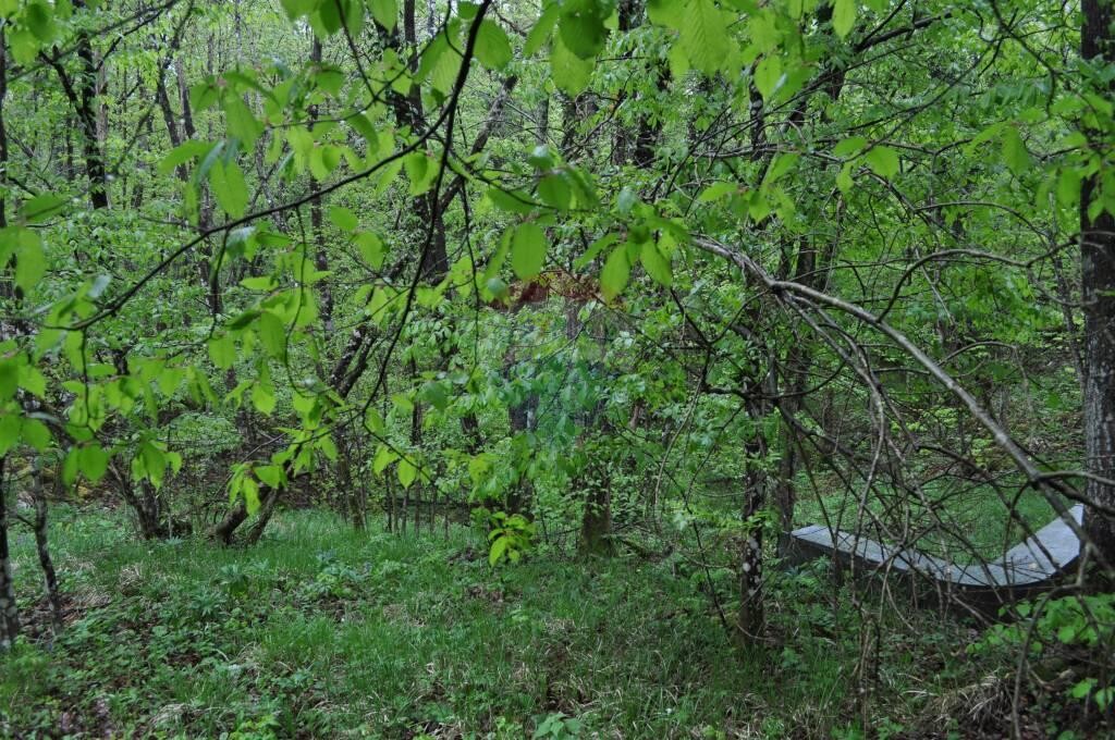 Image 5410535 - 8