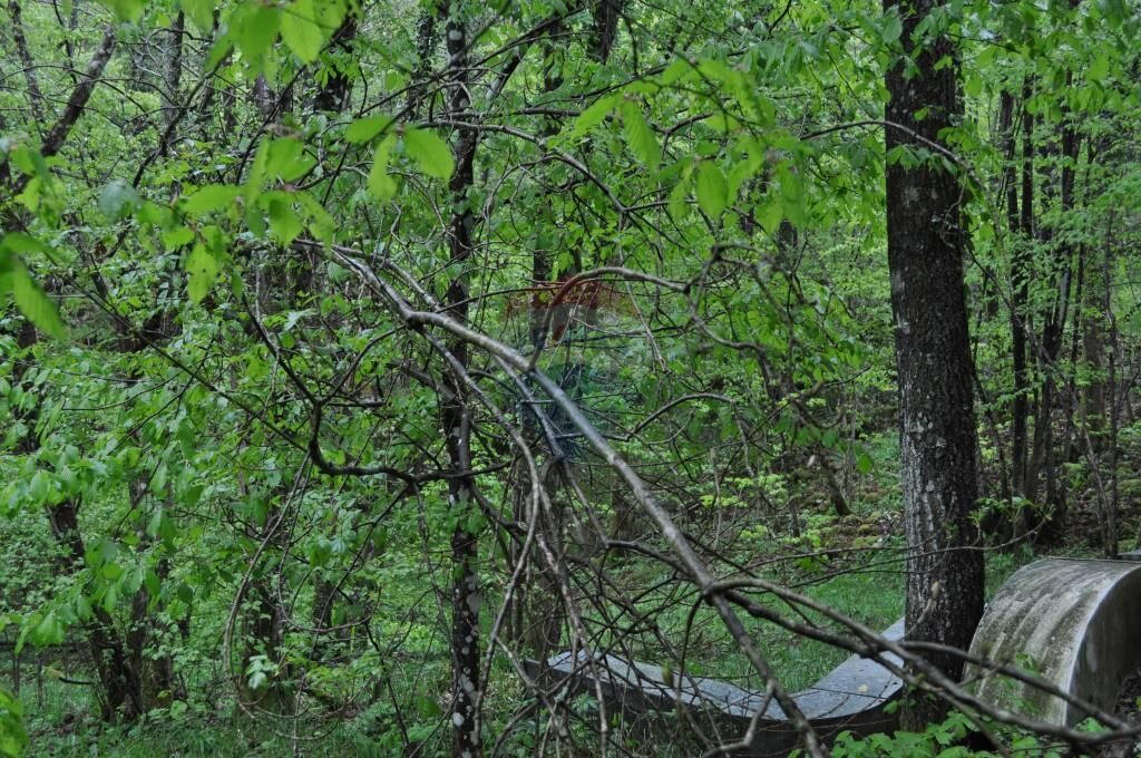 Image 5410535 - 9
