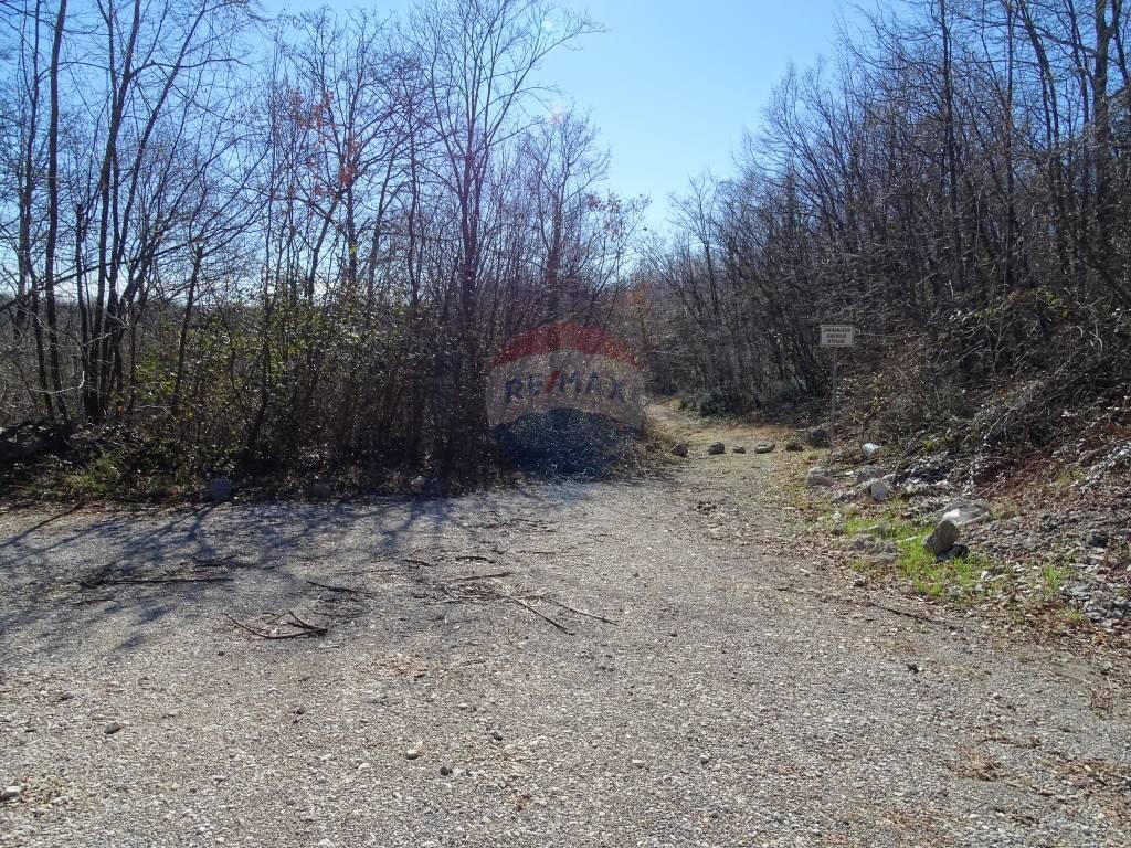 Image 5410564 - 5