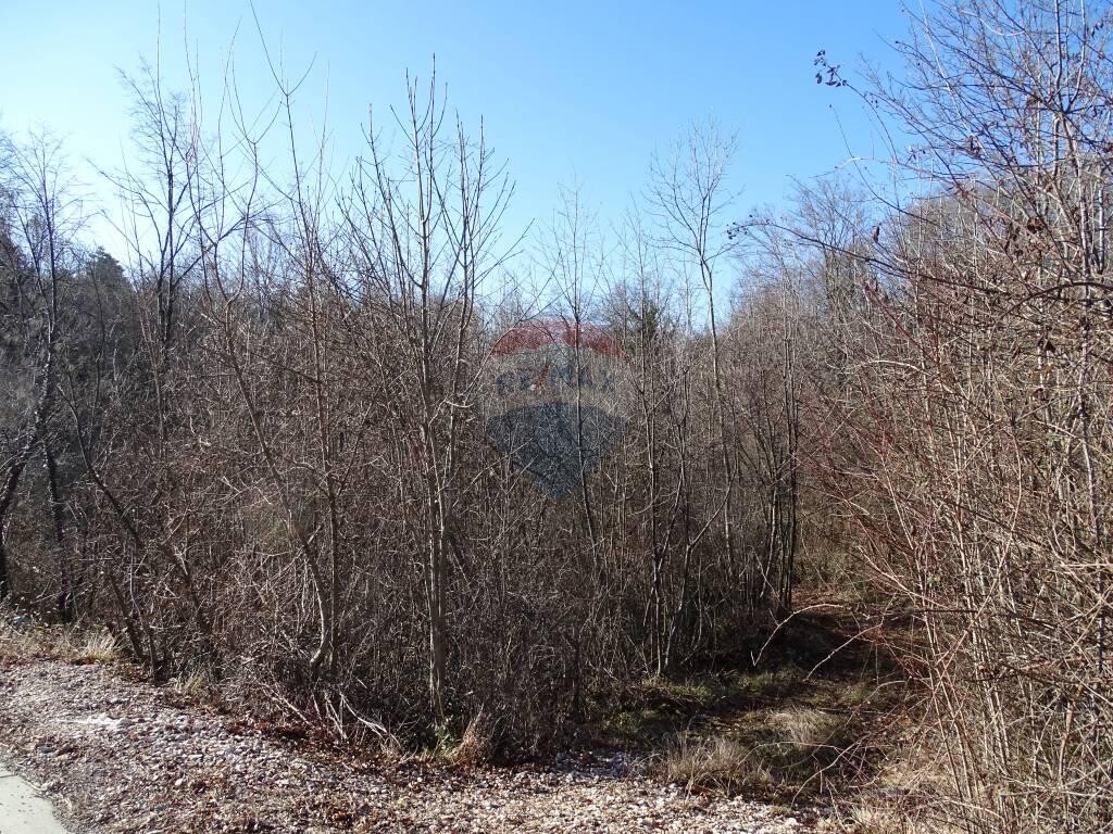 Image 5410575 - 6