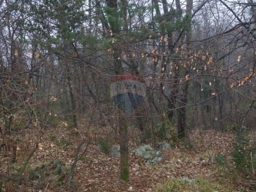 MATULJI - CENTAR - GRAĐEVINSKI TEREN - 11.114 m2