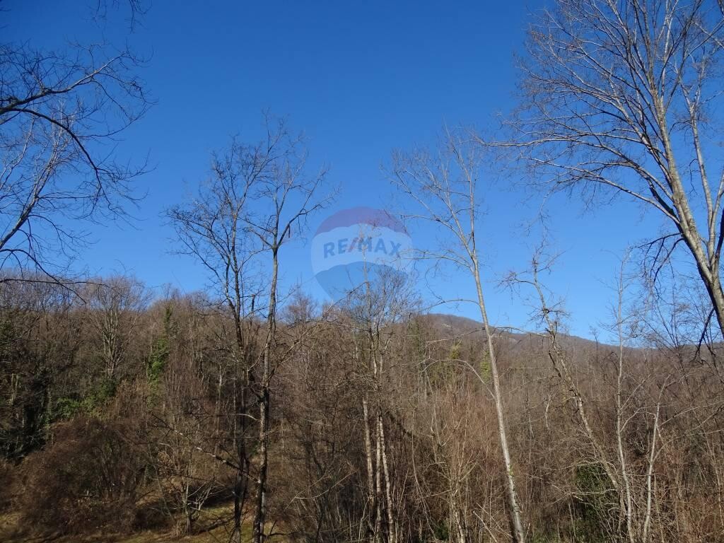 Image 5410577 - 7