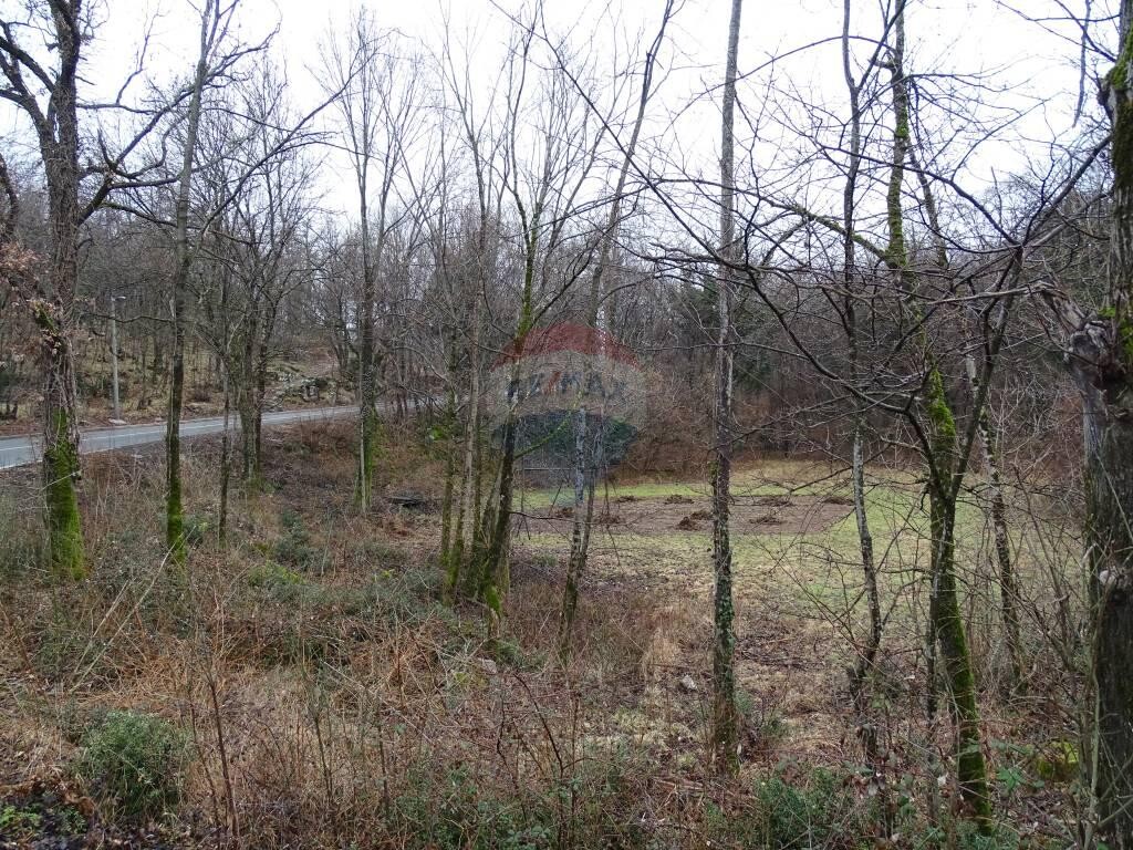 Image 5410577 - 13