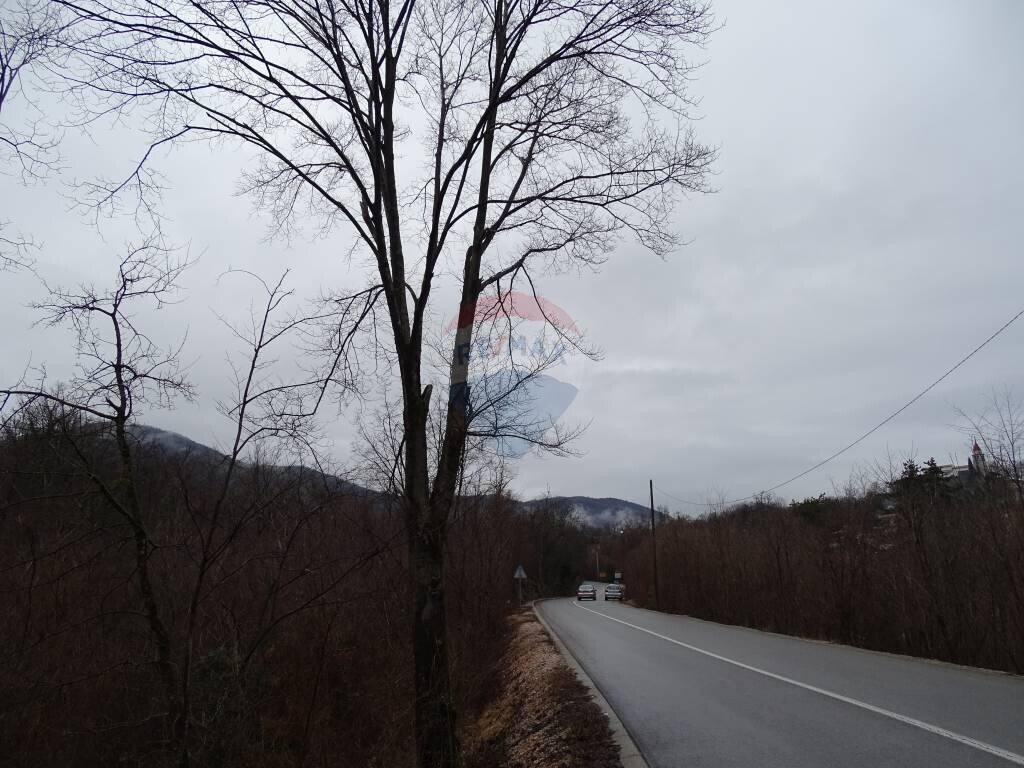 Image 5410577 - 15