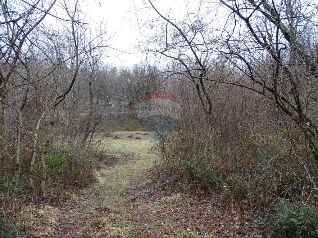 Image 5410577 - 18