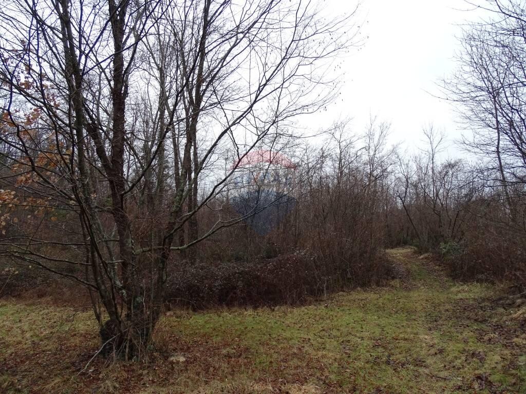 Image 5410577 - 20