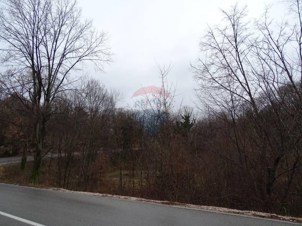 Image 5410577 - 12