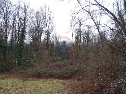 Thumbnail 5410577 - 19