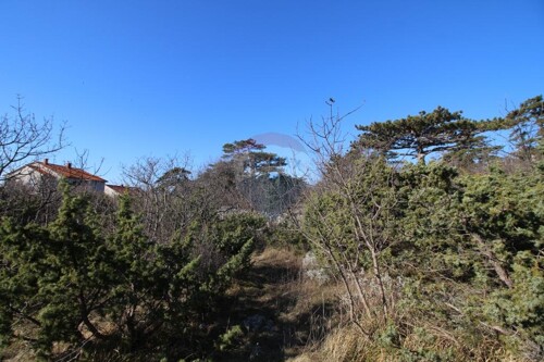 Thumbnail 5410590 - 3