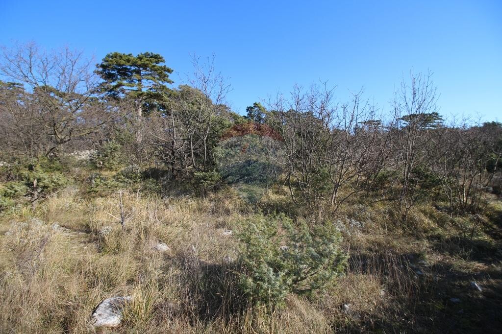 Image 5410590 - 4