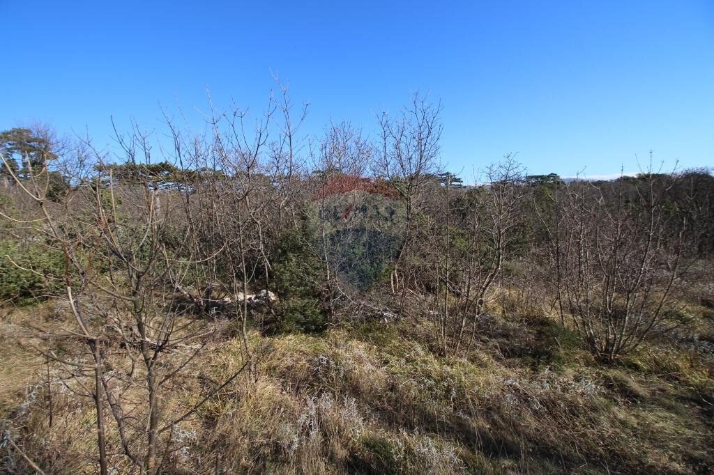 Image 5410590 - 5