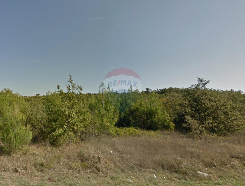 Image 5410611 - 1