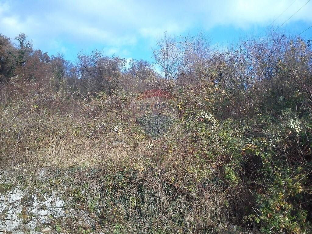 Image 5410614 - 3