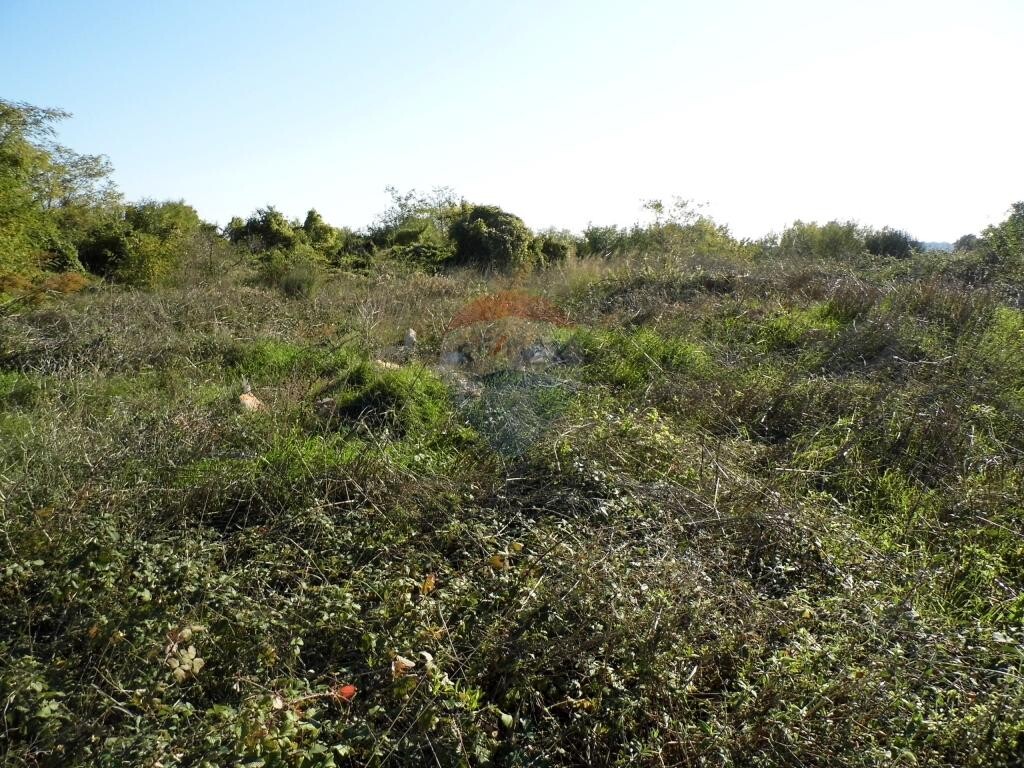 Image 5410620 - 3