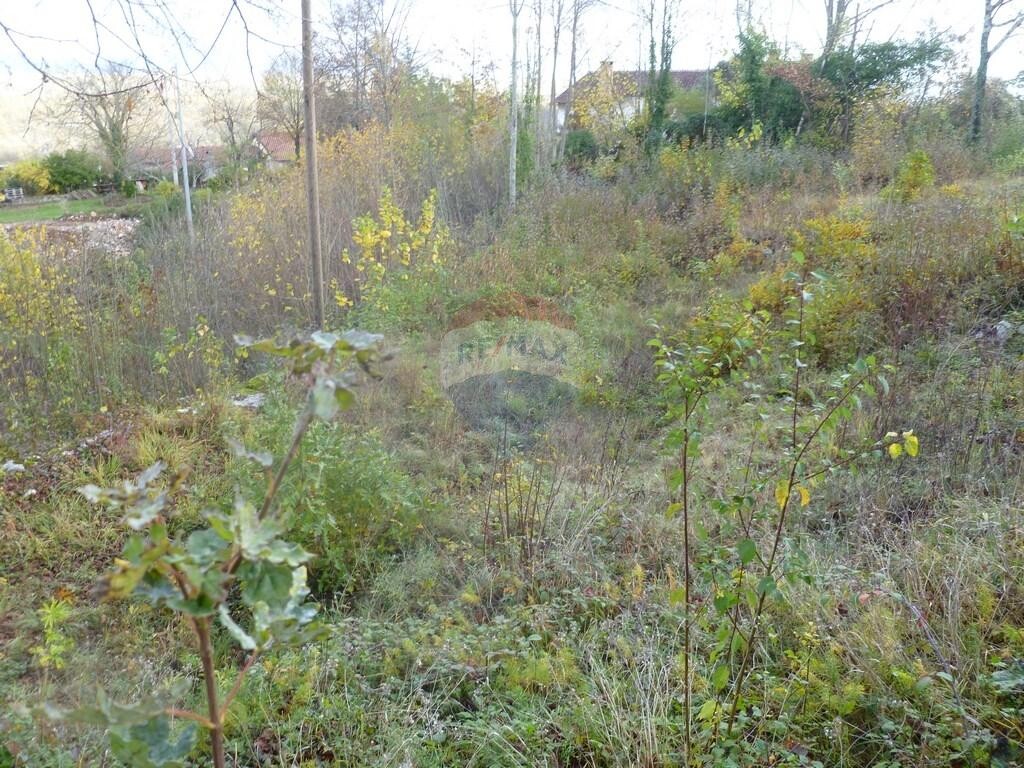 Image 5410629 - 3