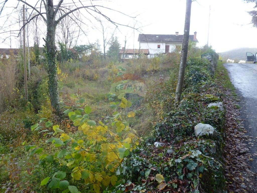 Image 5410629 - 4