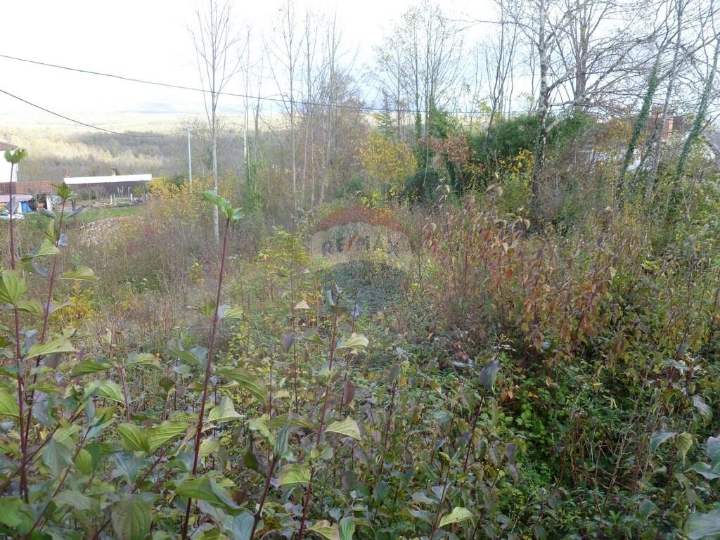 Image 5410629 - 5