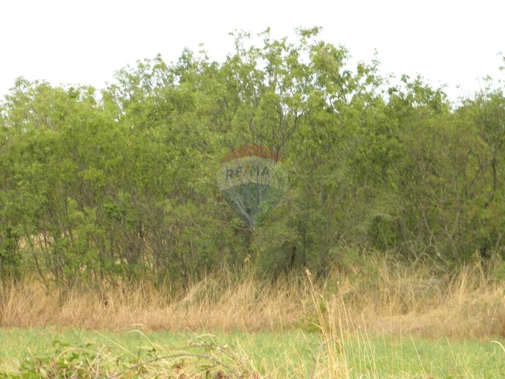 Image 5410652 - 1
