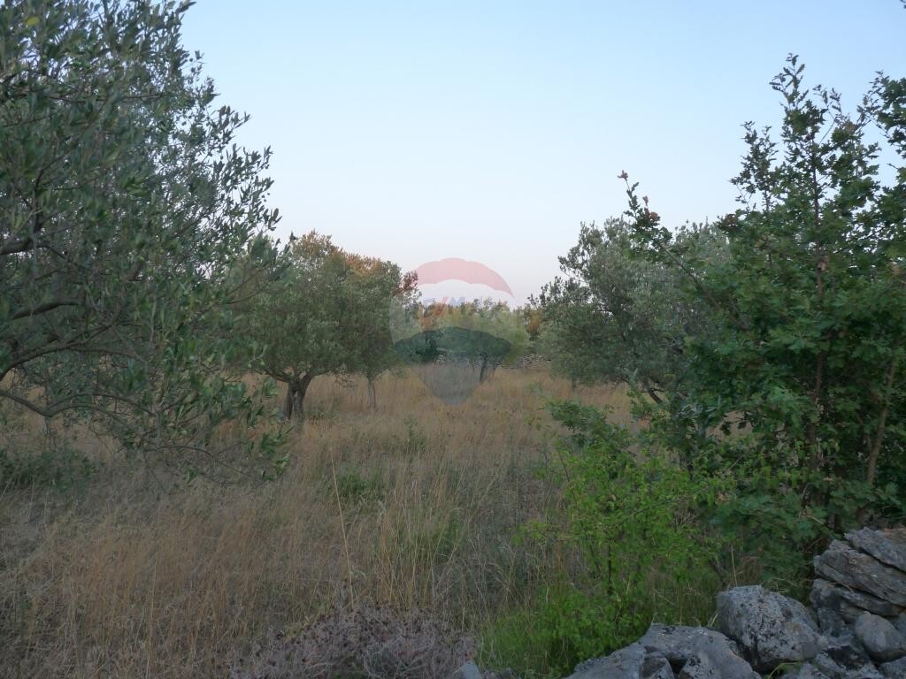 Image 5410660 - 3