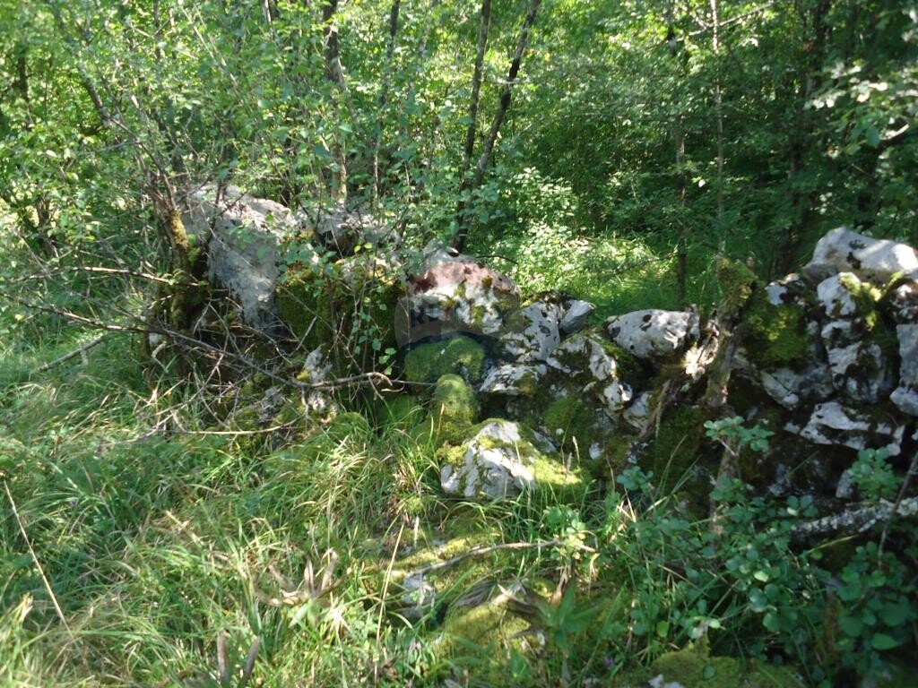 Image 5410661 - 5