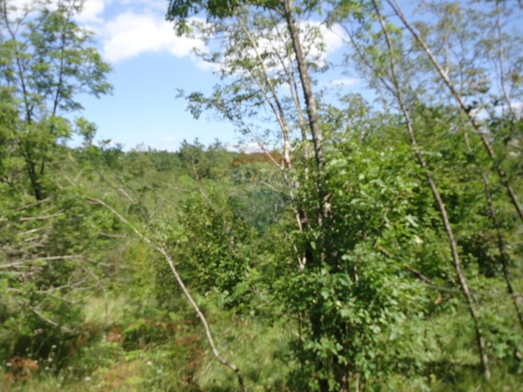 Image 5410661 - 9