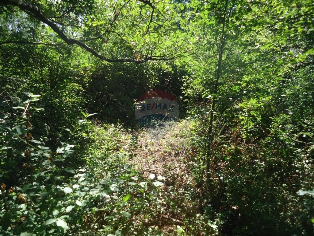 Image 5410661 - 3