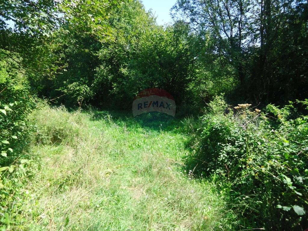 Image 5410661 - 1