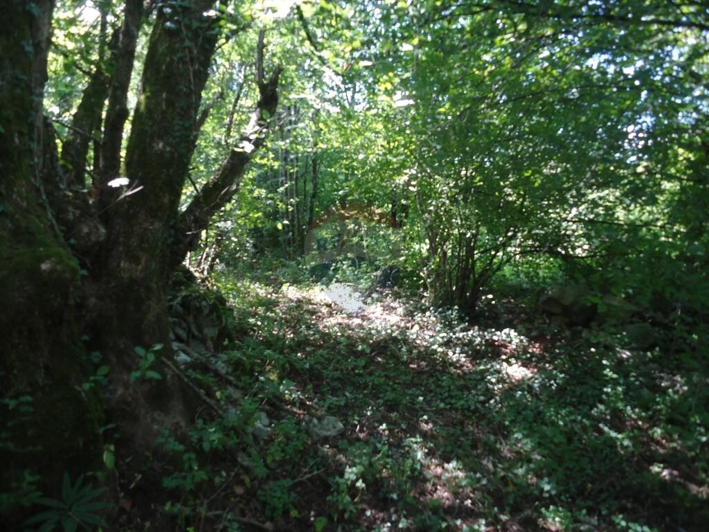 Image 5410661 - 4