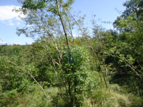 Thumbnail 5410661 - 8