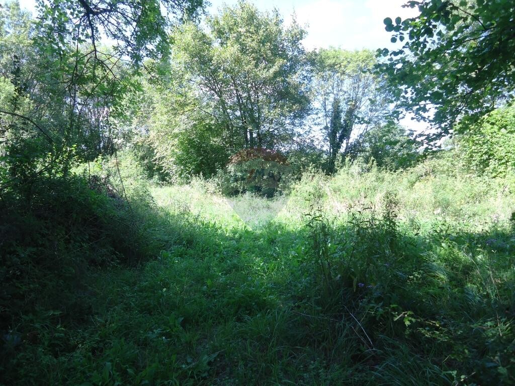 Image 5410661 - 2