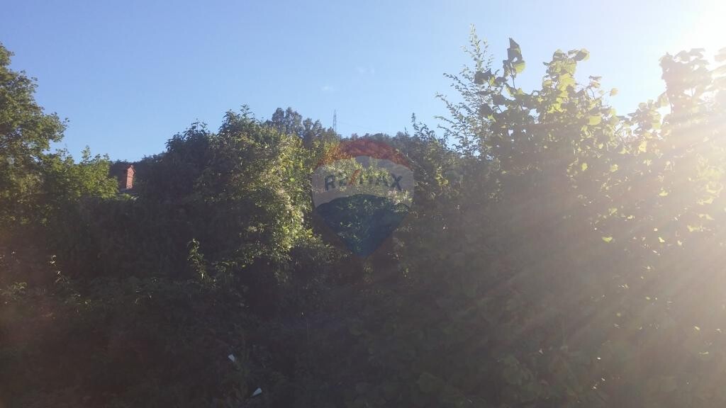 Image 5410663 - 4