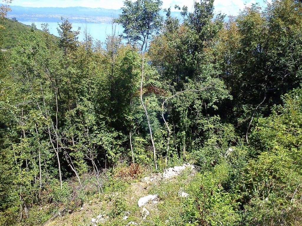 Image 5410671 - 5