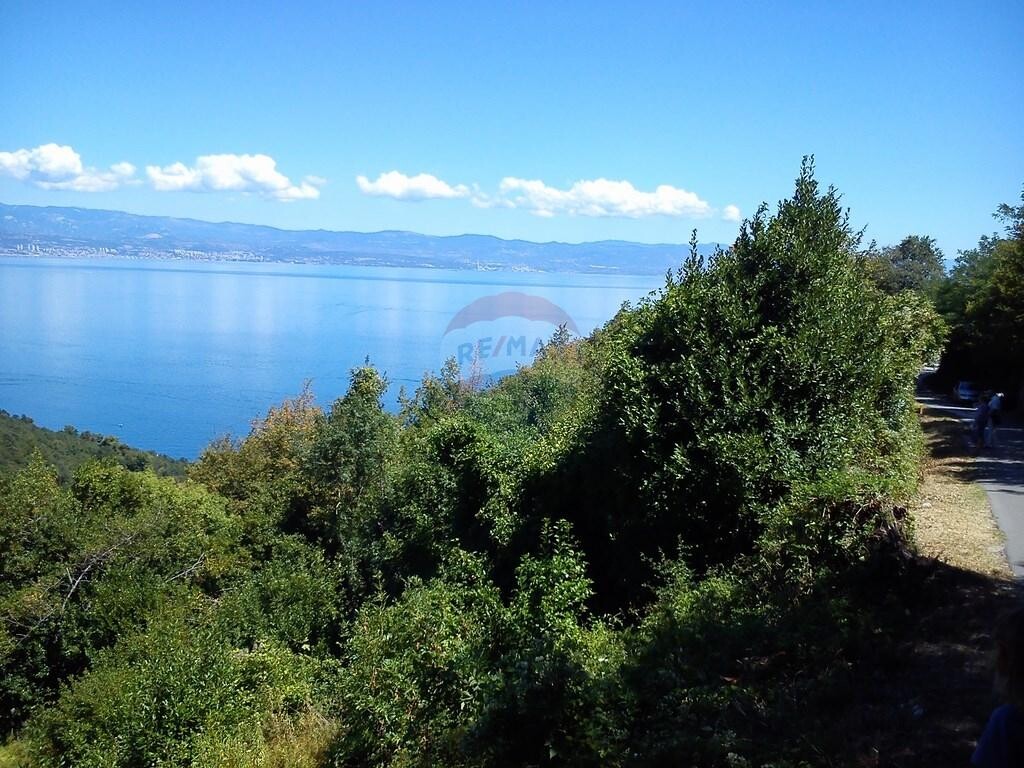 Image 5410671 - 1