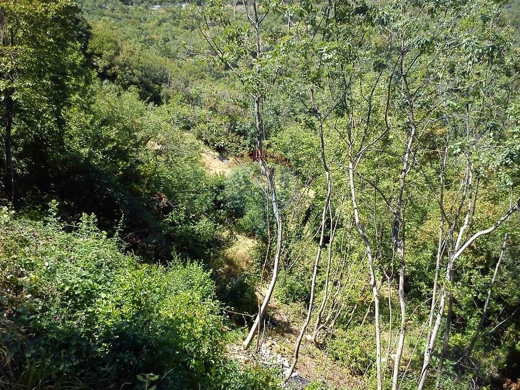 Image 5410671 - 6