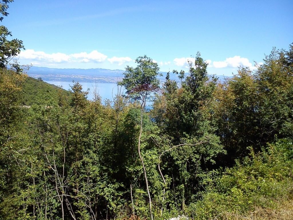 Image 5410671 - 4