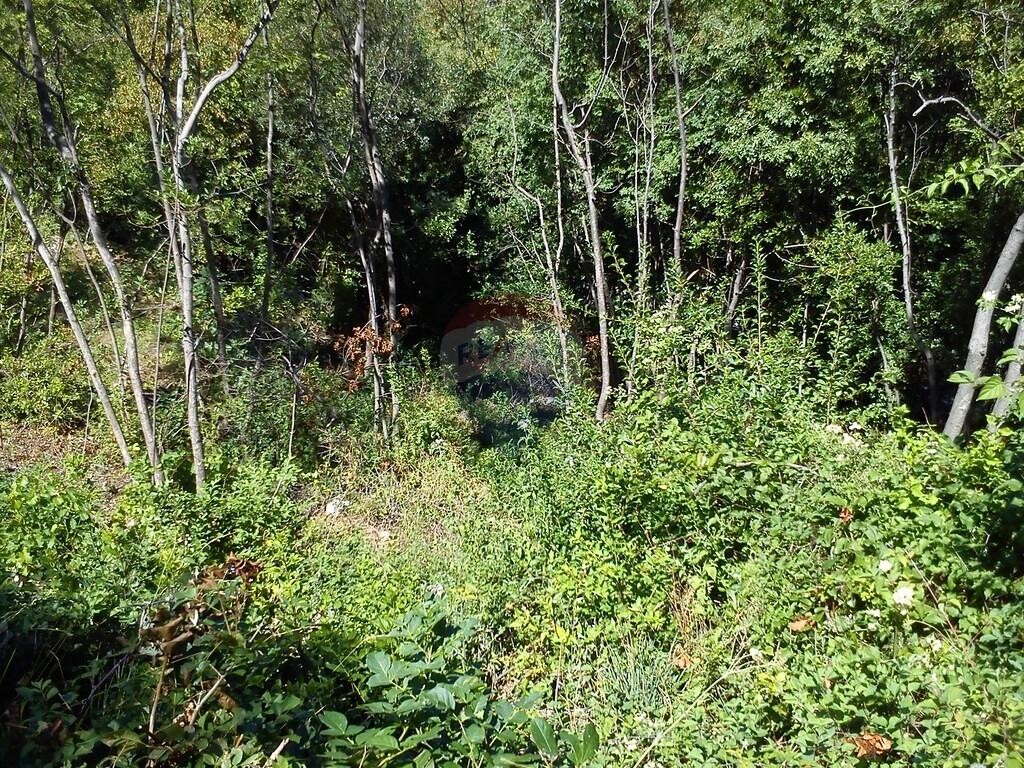 Image 5410671 - 7