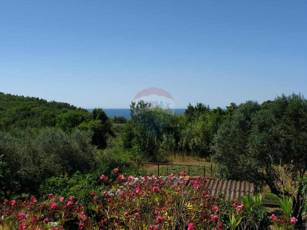 Image 5410672 - 1