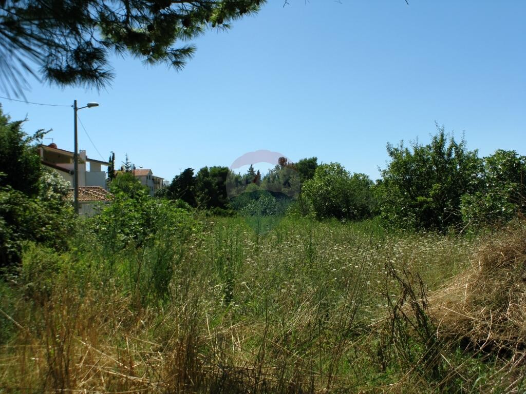 Image 5410672 - 3