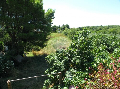 ISTRA, PREMANTURA, GRAĐEVINSKA PARCELA 1961 M2 S POGLEODM NA