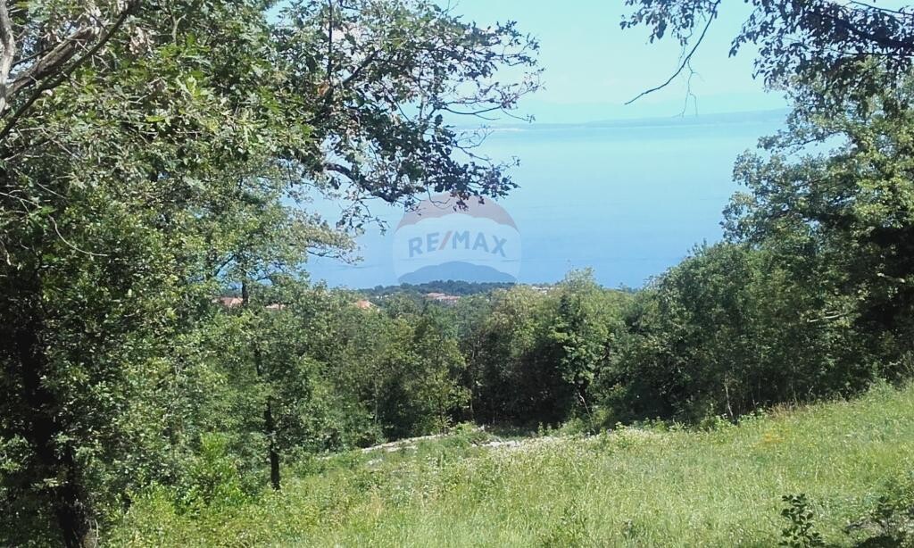 Image 5410681 - 1