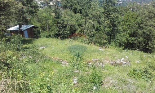 Thumbnail 5410681 - 3