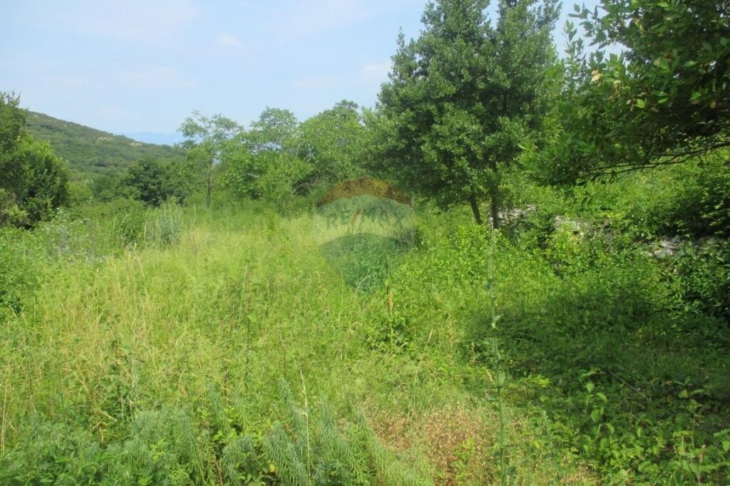 Image 5410682 - 3