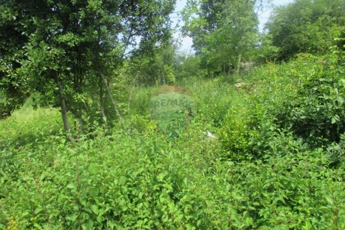 BRSEČ - CENTAR - 1000 m2 GRAĐEVINSKOG TERENA