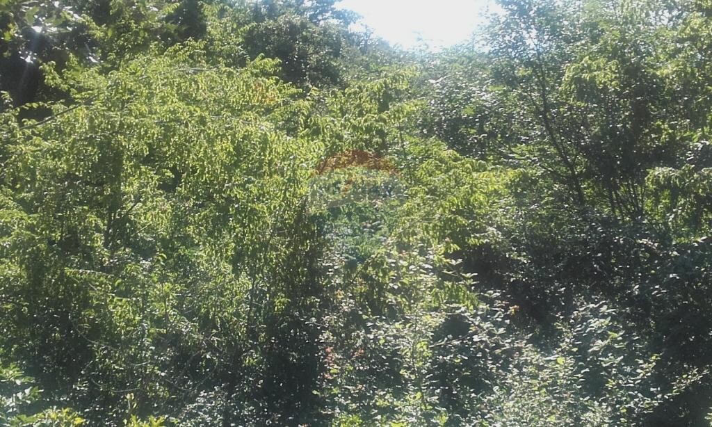 Image 5410686 - 3