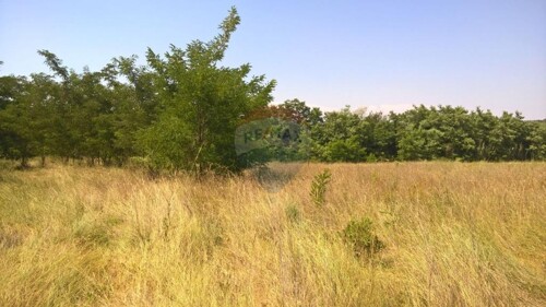 Thumbnail 5410687 - 11