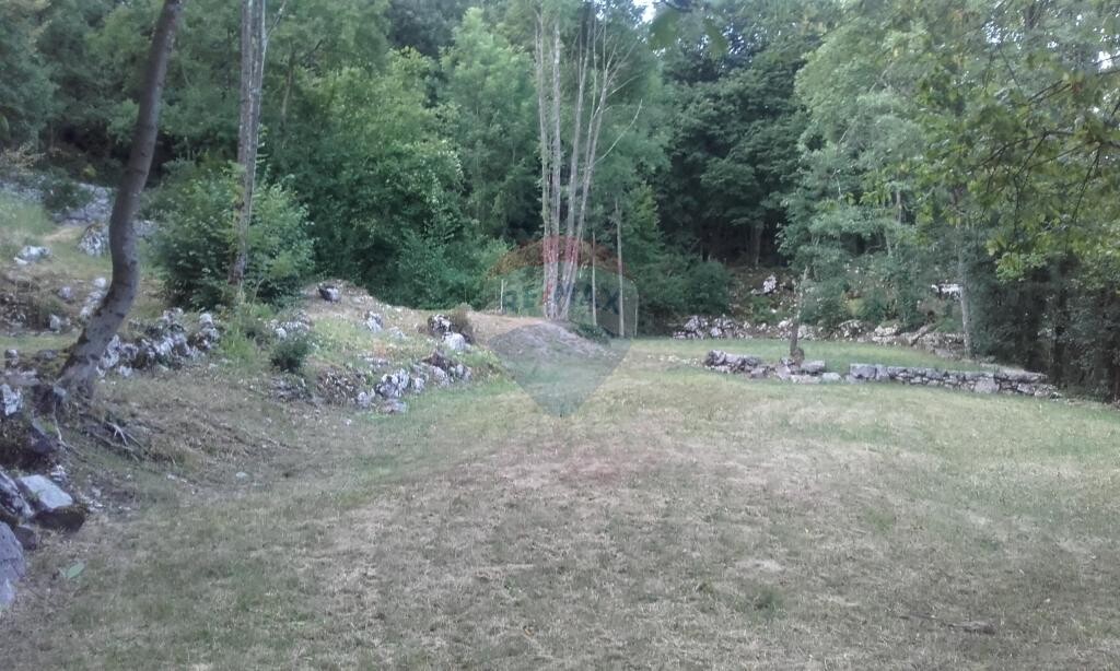 Image 5410688 - 1