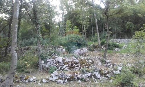 Rukavac - Teren od 4413m2 okružen zelenilom