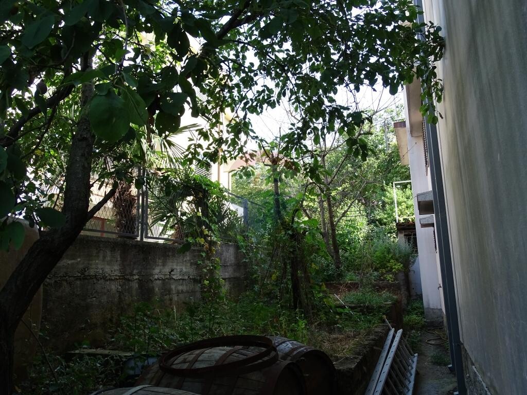 Image 5410691 - 7